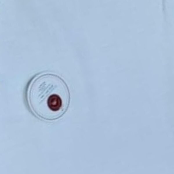 Quick Dry (200 gsm) - Bath Sheet - Blue